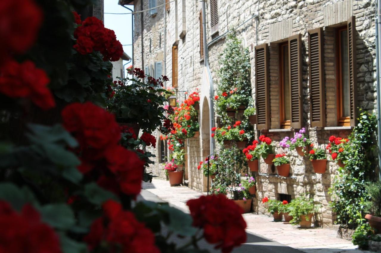 Casa Gentile Apartment Assisi Exterior photo